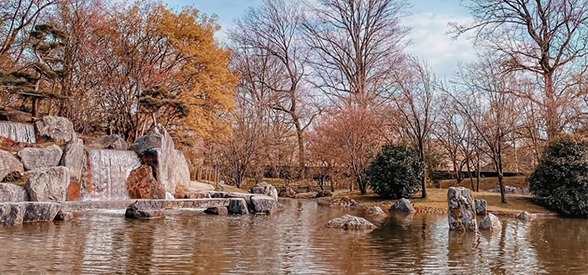 Japanese garden